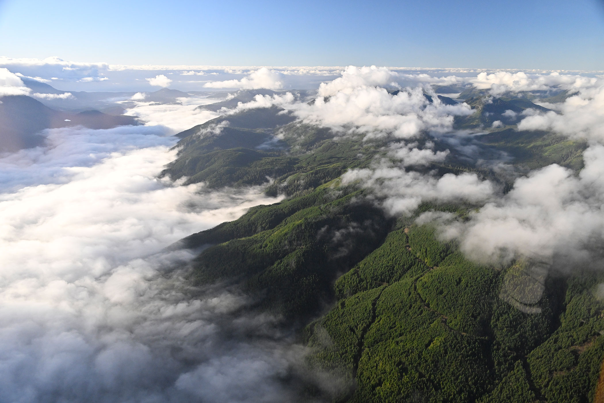 Barkley Sound